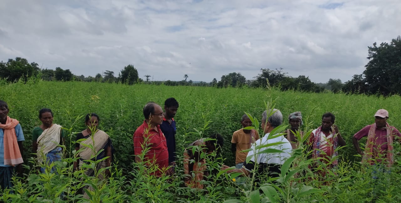 Climate-Resilient Agriculture & BRC
