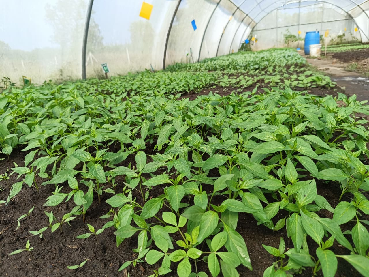 Climate-Resilient Agriculture & BRC