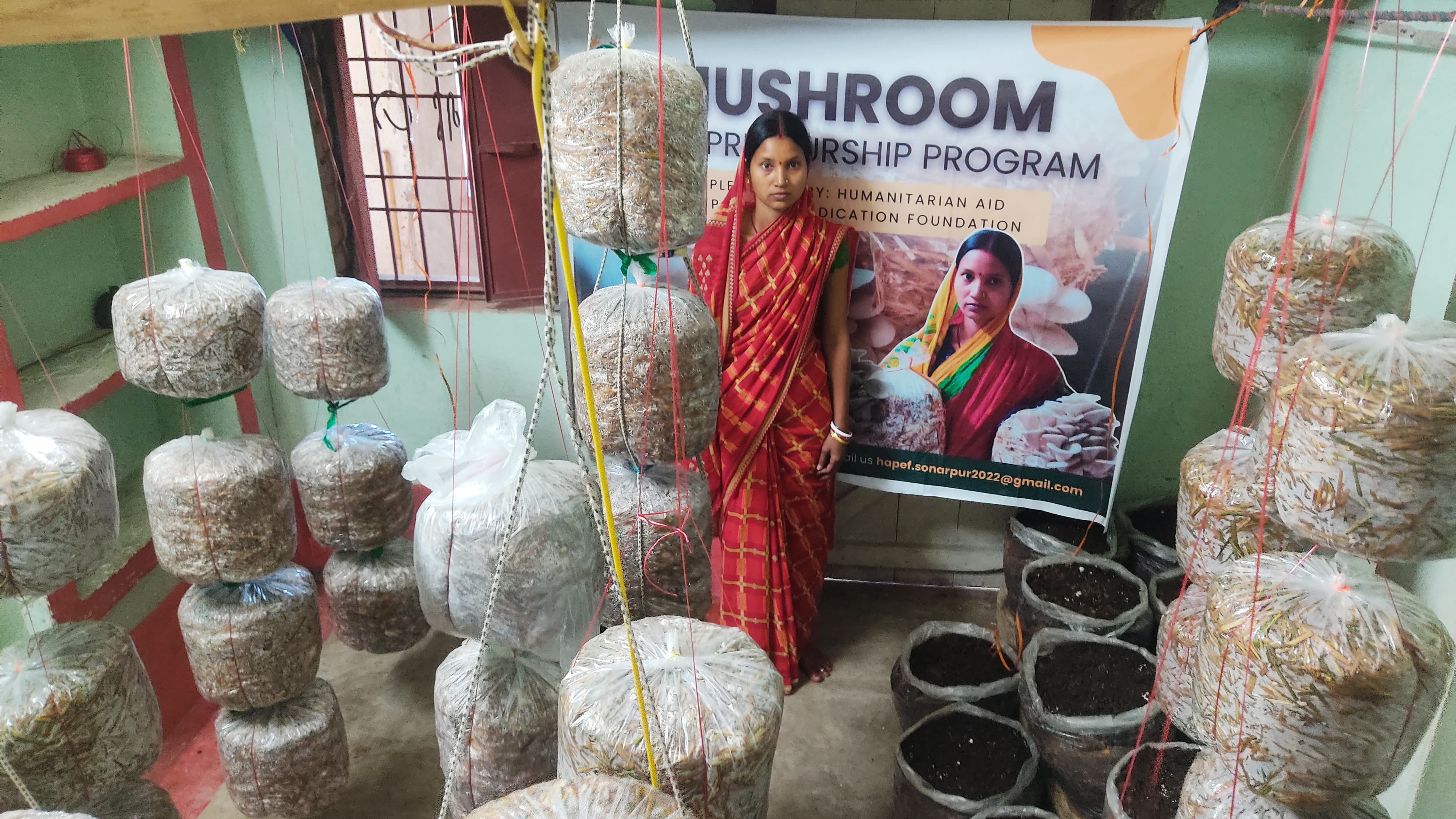 Mushroom Entrepreneurship Program