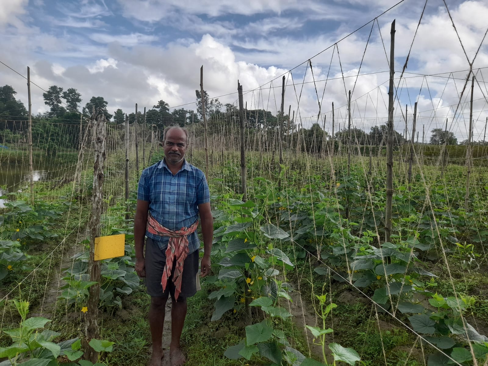 Rural Development